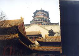 China31.jpg