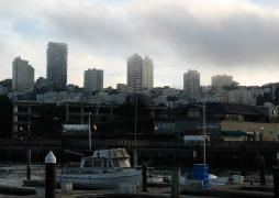 IMG_2687.jpg