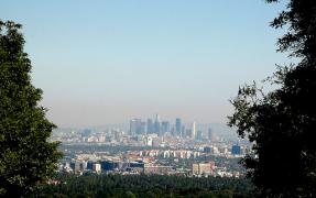IMG_2634.jpg