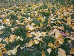 100_9031.JPG