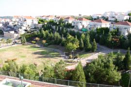 IMG_2350.JPG