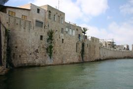 IMG_1271.JPG