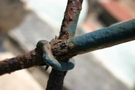 IMG_1229.JPG