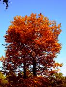 IMG_2058_2.jpg