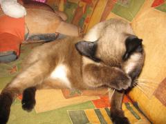IMG_1315.jpg