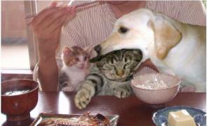 piczn_26.jpg
