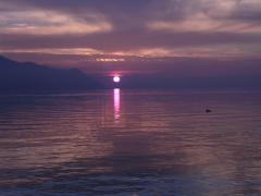 DSCN1221.JPG