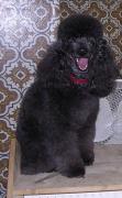 DSCN1316.JPG