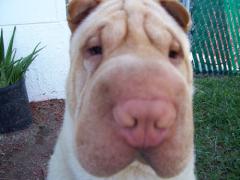 000_0469.jpg