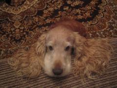 foto_009.jpg