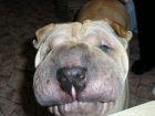 thumb_Picture_20113_1_.jpg