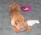 thumb_wins_080200_1_.jpg