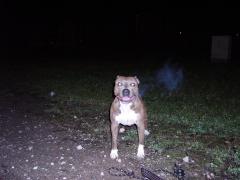 IMGP0025.JPG