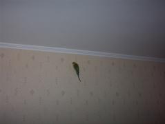 100_2172.jpg
