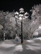 DSCN0573.jpg