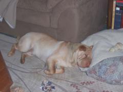 000_0904.jpg