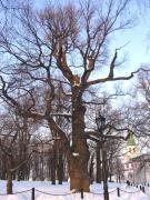 kolovenskoe_094.jpg
