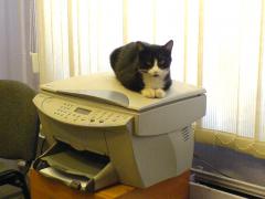 DSC00044.JPG