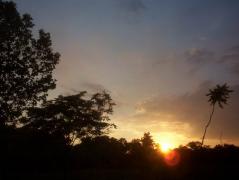100_7950.JPG