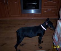 100_2846.jpg