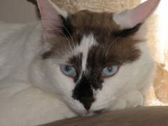 20060222_0069.JPG