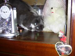 Pic_0001.jpg