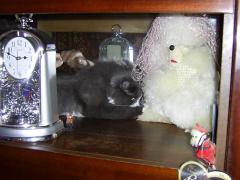 Pic_0002.jpg