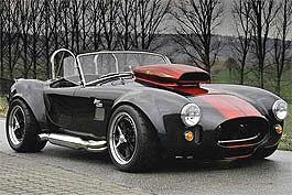 1142195433_Weineck_Cobra_1.jpg