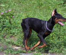 100_3104.jpg