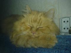 DSC00254.JPG