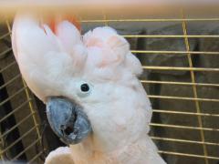 IMG_2986.jpg