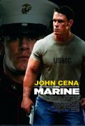 marine_1.jpg