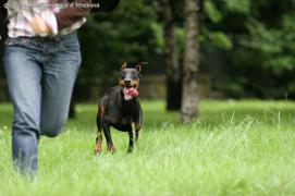 IMG_0686.jpg