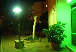 137_3772_resize.JPG