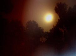 137_3780_resize.JPG