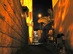 137_3788_resize.JPG