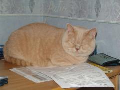 DSC01585.JPG