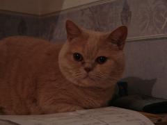 DSC01582.JPG