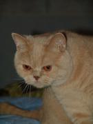 DSC01597.JPG