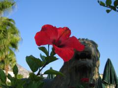 Turkey_074.jpg