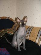 DSC00051.JPG