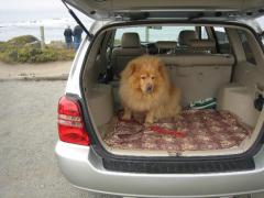 cambria_pics06___038.jpg