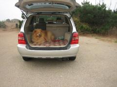 cambria_pics06___040.jpg