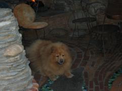 cambria_pics06___009.jpg