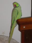 IMGP6449.jpg