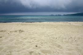 IMGP3762_.jpg