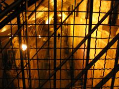 140_4024.jpg
