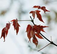 r001_001.jpg