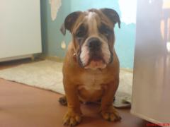 DSC000795.jpg