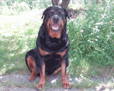 P7210474f.gif